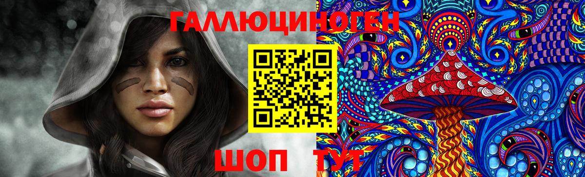 Псилоцибиновые грибы Psilocybe Менделеевск
